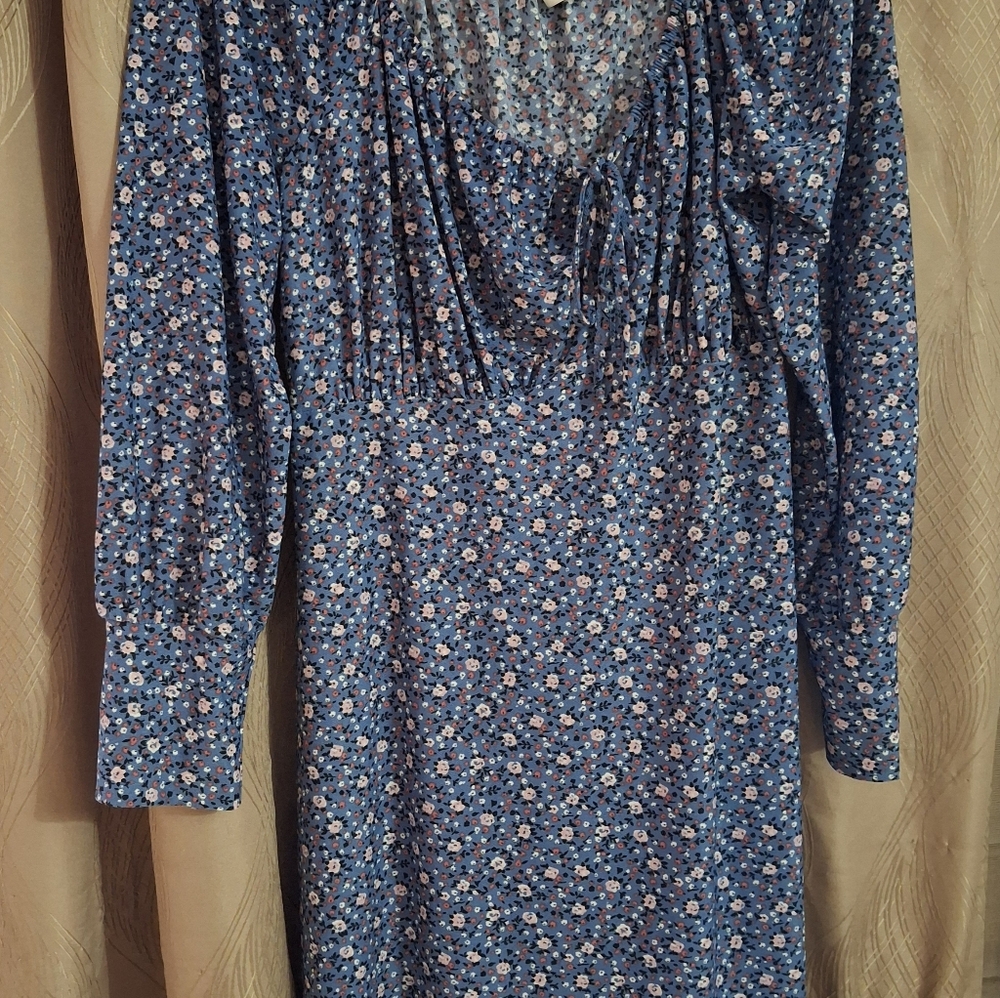Plus Size Floral Blue Dress NWOT!!!